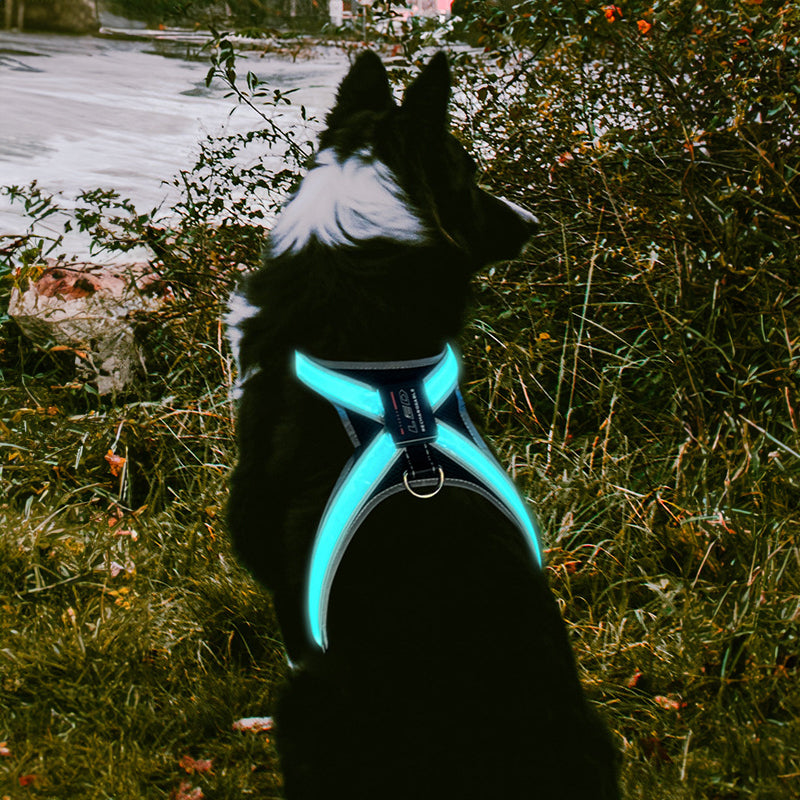 Pet supplies: flushable, 8 - gear, color - changing LED, chest braces, clothes and collars with traction.