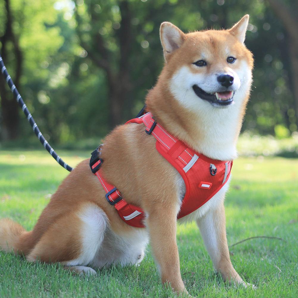 Nylon Reflective No-Pull Dog Harness Vest – Breathable, Adjustable, and Safe for All Sizes