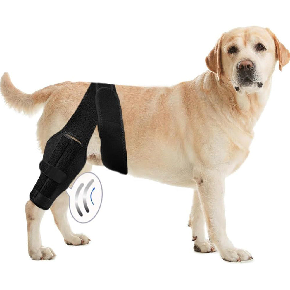 Dog Leg Protective Gear – Injury Recovery and Joint Support