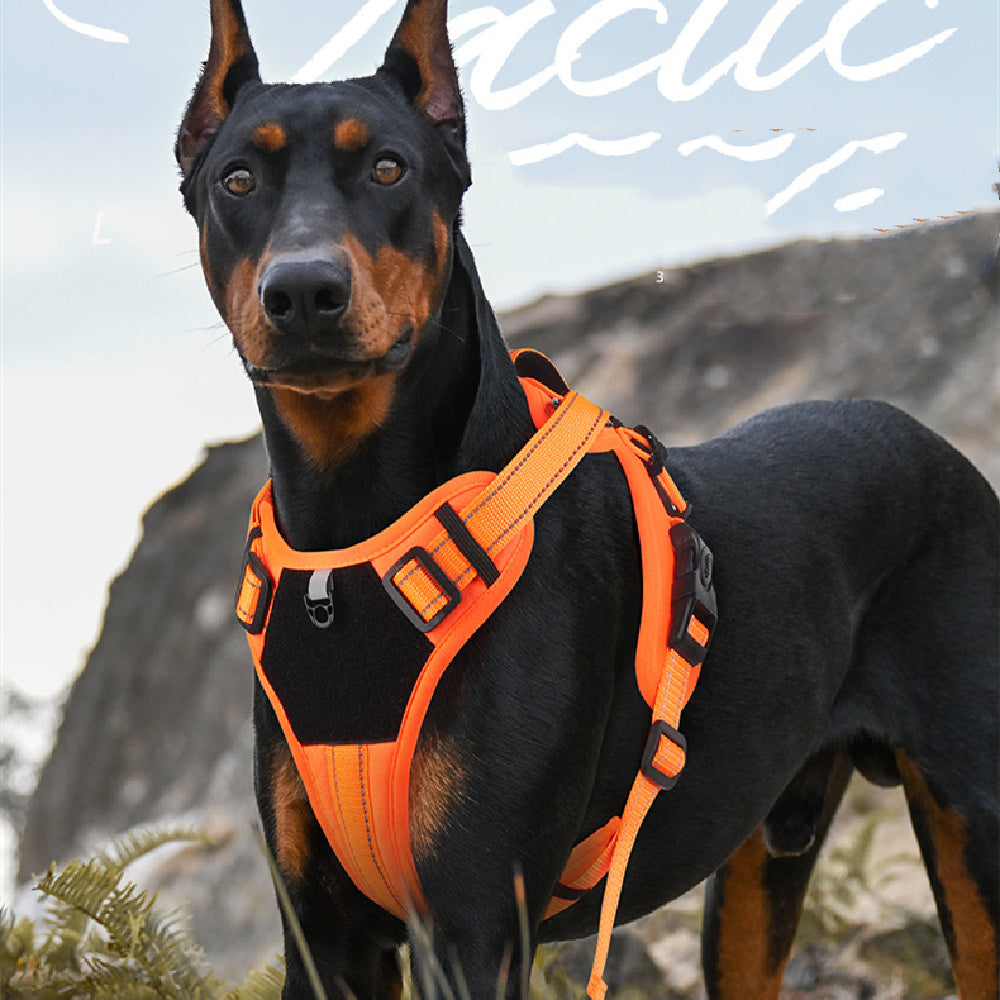 Anti-Break Loose Dog Harness with Hand-Held Rope – Durable Polyester Pet Leash for Daily Walks