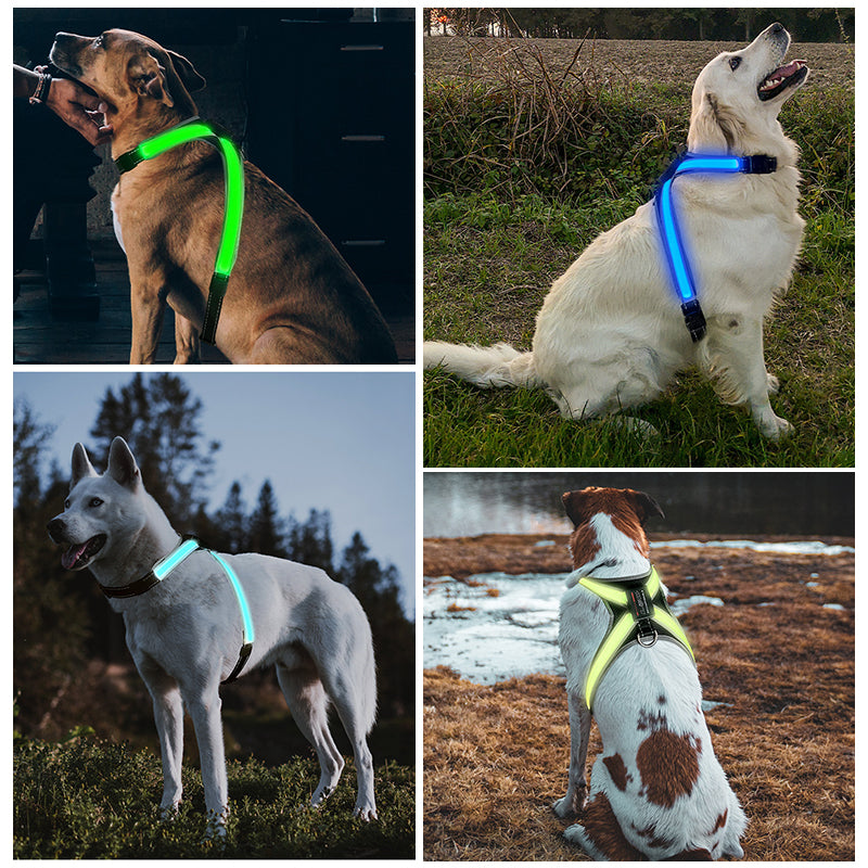 Pet supplies: flushable, 8 - gear, color - changing LED, chest braces, clothes and collars with traction.