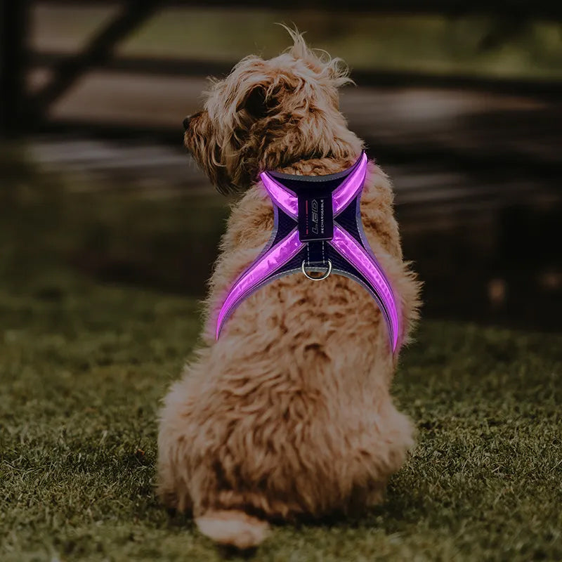 Pet supplies: flushable, 8 - gear, color - changing LED, chest braces, clothes and collars with traction.