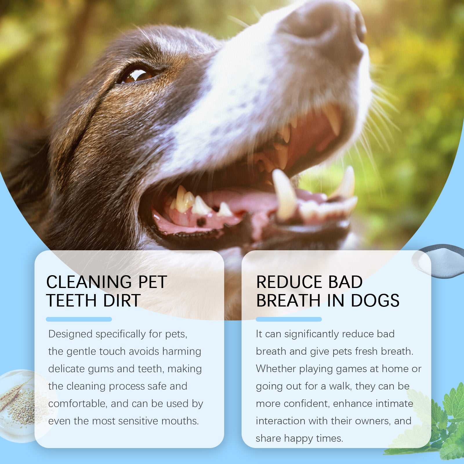 Pet Teeth Cleaning Pen – Fresh Breath & Gentle Gum Care