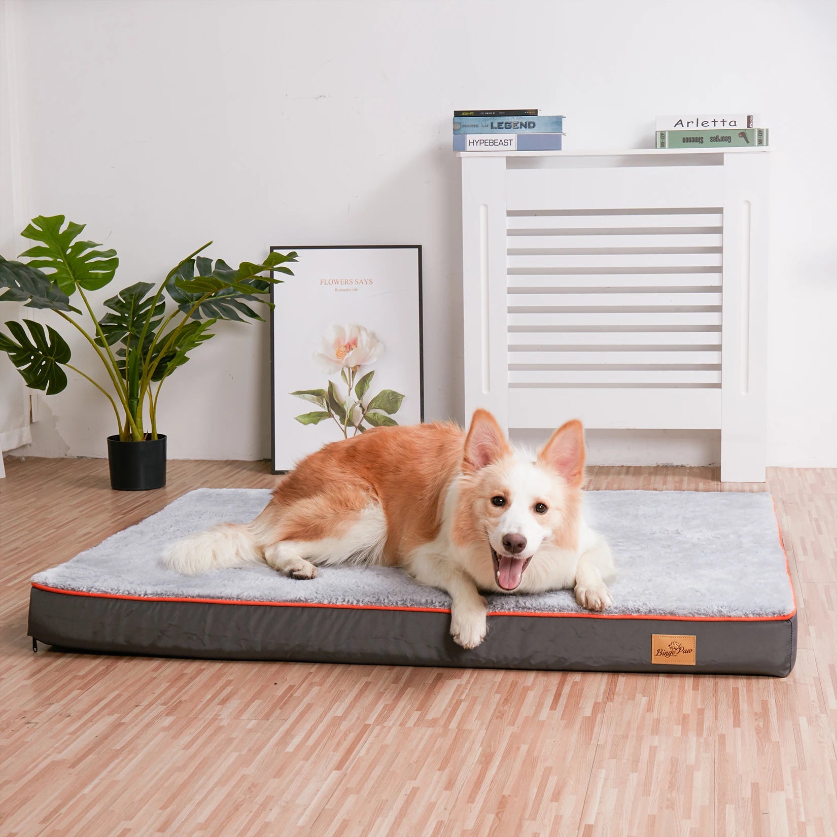 BINGOPAW Large Orthopedic Dog Bed – Memory Foam Waterproof Pet Bed with Removable Washable Cover & Nonskid Bottom