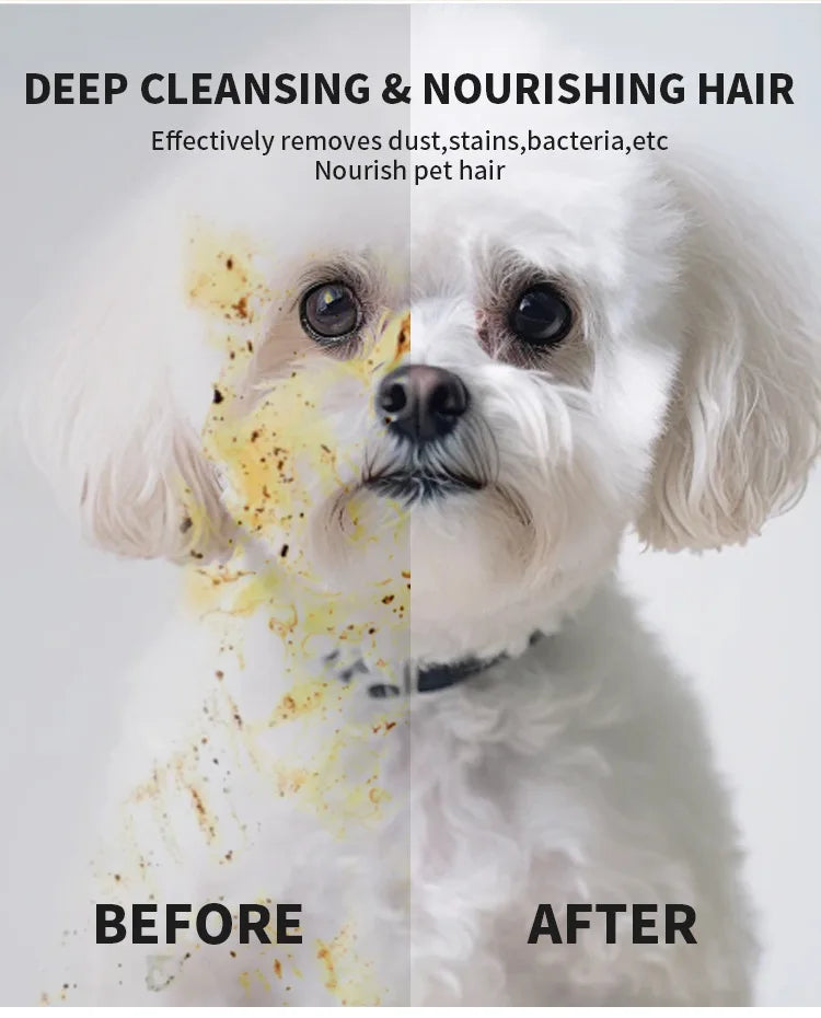 Pet disposable gloves, bathing and cleaning for cats and dogs, dry cleaning, wet wipes, and gloves.