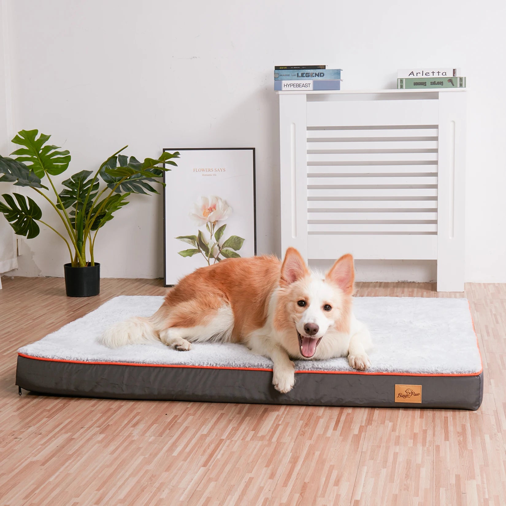 BINGOPAW Large Orthopedic Dog Bed – Memory Foam Waterproof Pet Bed with Removable Washable Cover & Nonskid Bottom