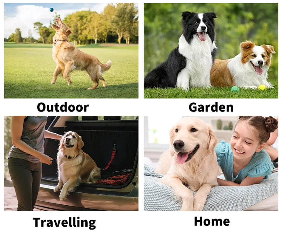Pet disposable gloves, bathing and cleaning for cats and dogs, dry cleaning, wet wipes, and gloves.