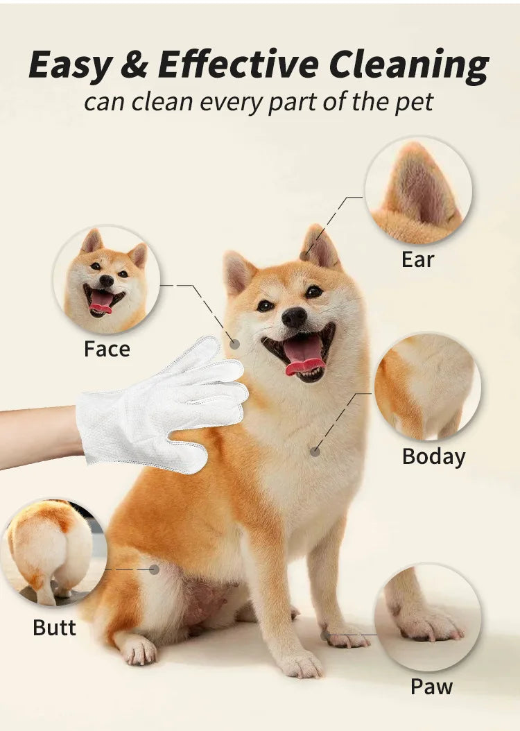 Pet disposable gloves, bathing and cleaning for cats and dogs, dry cleaning, wet wipes, and gloves.