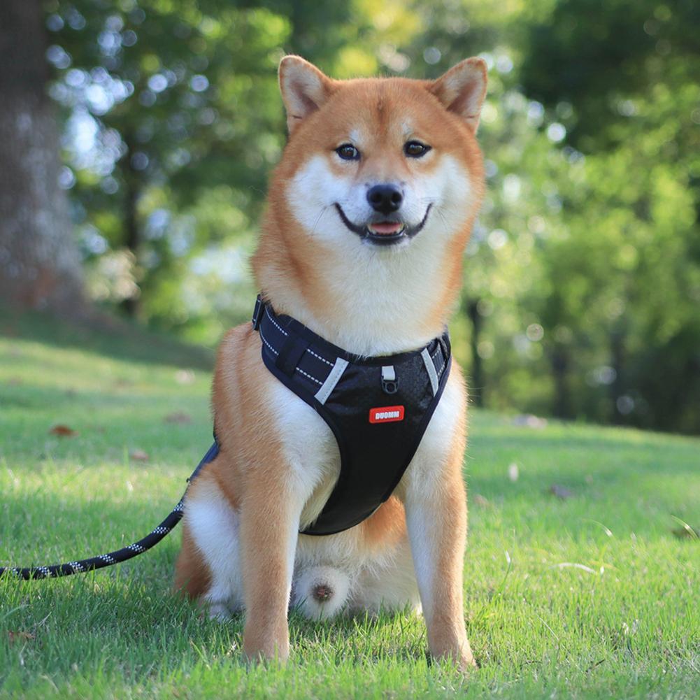 Nylon Reflective No-Pull Dog Harness Vest – Breathable, Adjustable, and Safe for All Sizes